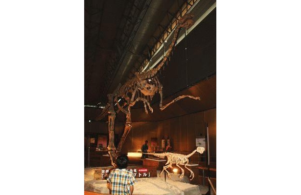 超大型の巨大羽毛恐竜「ギガントラプトル」には子供もびっくり!?