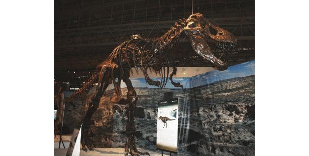 最も有名なあの暴君恐竜「ティランノサウルス」も登場！