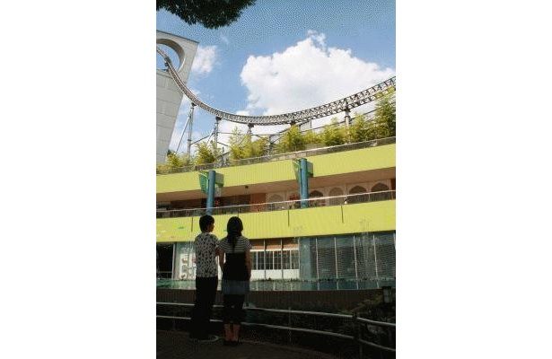 告白は夕暮れの「ウォーターシンフォニー」でロマンチックに