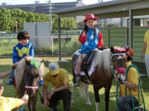ファミリーで遊べるポニー乗馬体験もあり！