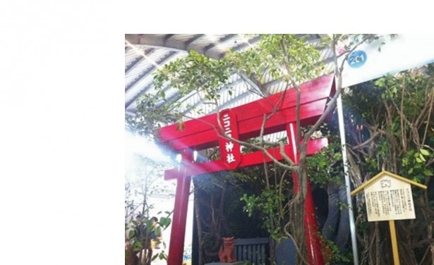 願いが叶うかも？「ニコニコ神社」TCK版が建立