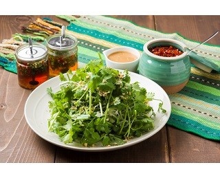 “パク盛り”OK！パクチスト必見の専門店が登場