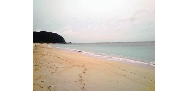 キレイな浜辺は奄美ならでは