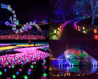 夜景プロデューサーに聞くイルミプロデュースの真髄