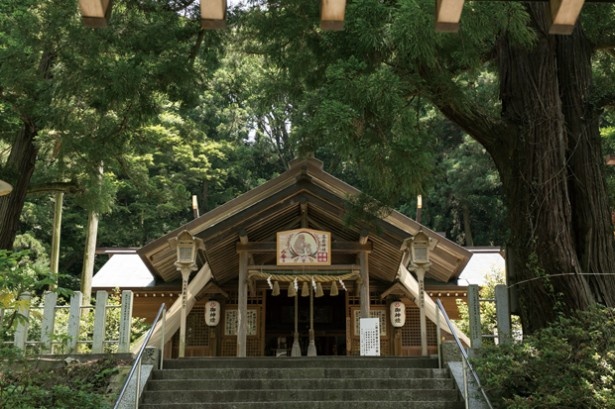 高倉神社。日本書紀にも名前が登場し、1800年前の古墳時代に創建されたという古い社。樹齢1800年の綾杉は必見！