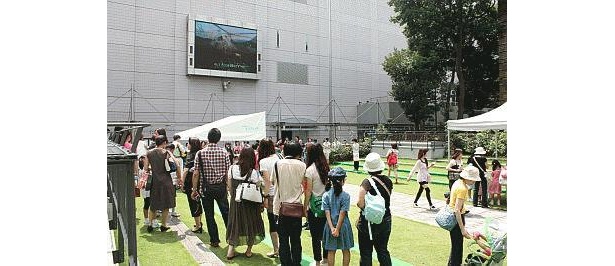 約70人が行列！アルパカと記念撮影イベント