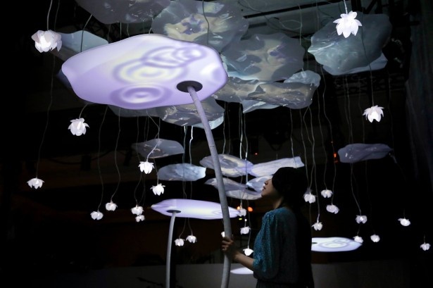 楽園の中にある蓮の葉に雨が降り、晴れ間が差す瞬間をアートにした「LOTUS」