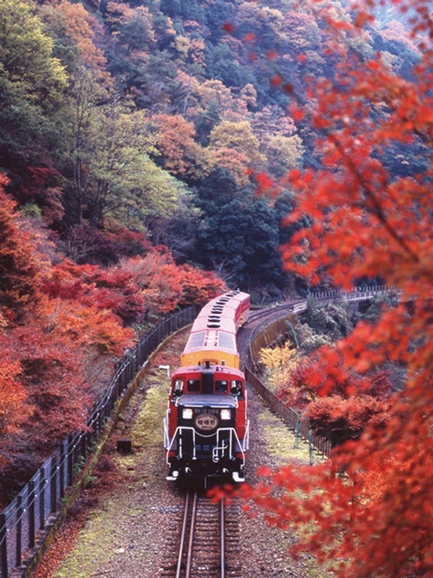 渓谷が鮮やかな紅葉に彩られる秋は、特に人気が高いシーズン。見ごろは11月中旬～12月上旬