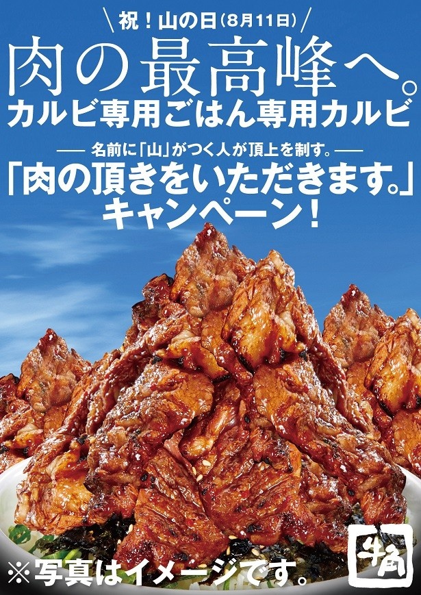 【写真を見る】8月11日の「山の日」に、名前に「山」がつく友達と「カルビ専用ごはん専用カルビ」を楽しんでみてはいかが