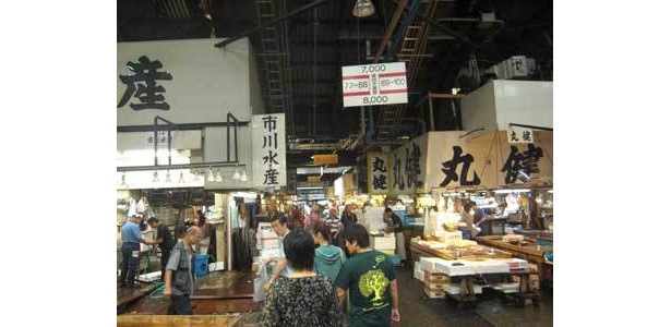 ガイドさんに案内される団体が多い