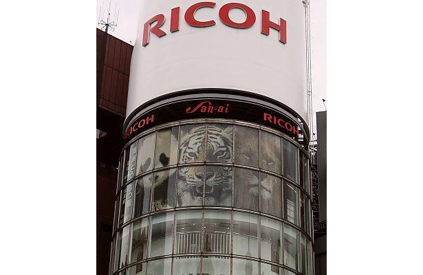 外観に展示されたパンダ、トラ、ライオンの写真が目印