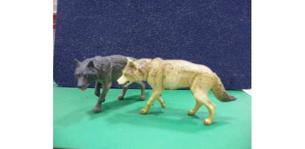 手にのるサイズのオオカミ（？）