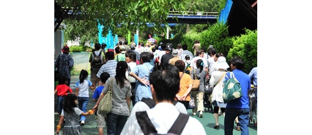 グランドフィナーレオープニングから多くのファンが来園している