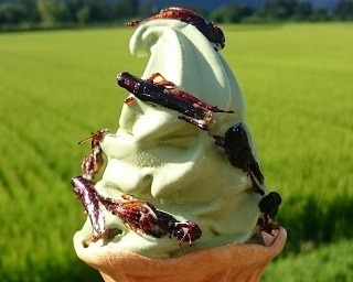 いなごトッピングの異色ソフト 甘さと塩辛さが相性抜群