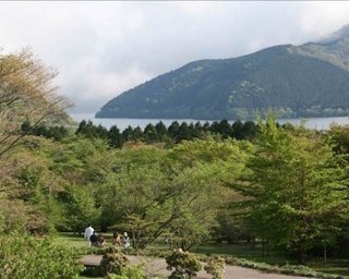 箱根の紅葉絶景をハイキングで楽しむ無料ツアー登場