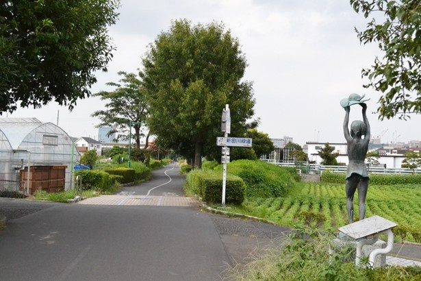 「下河原緑道」と「新田川緑道」の交差点。左右に田んぼなどが広がる、都内とは思えないのどかな景色