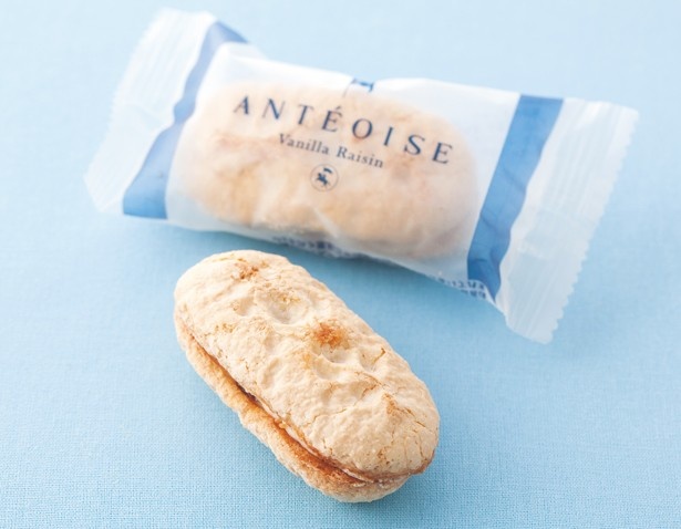 「アンテワーズ バニラレーズン(6個入り)」(1296円)は、ダグワーズ生地に洋酒 に漬けたレーズンとクリームをサンド/アンテノール
