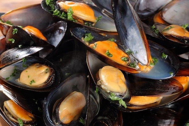 【写真を見る】食欲を刺激するビジュアル！毎年人気のムール貝