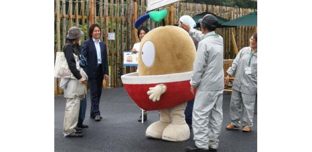たねまるはスタッフのみなさんにもかわいがられています