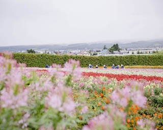 ひがし北海道周遊バスで行く富良野・十勝の楽しみ方6選