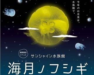 クラゲでお月見！サンシャイン水族館で期間限定イベント