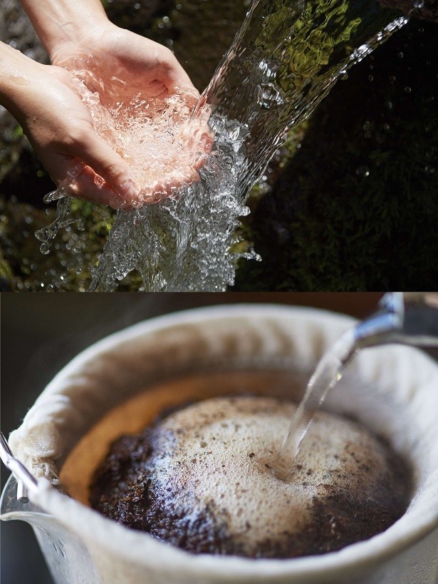 コーヒーは北海道の名水 「羊蹄のふきだし湧水」を使ってじっくり抽出