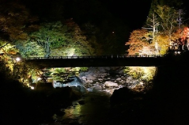 高山市で紅葉と星と木にふれる秋を体験 ウォーカープラス