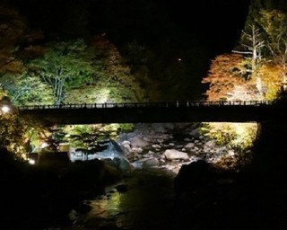 高山市で紅葉と星と木にふれる秋を体験