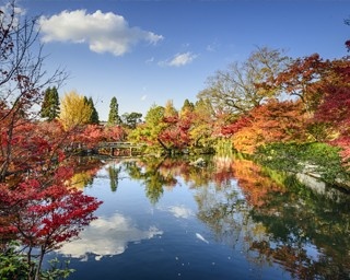 紅葉の名所の美しさに感動！5分で知る永観堂の見どころ