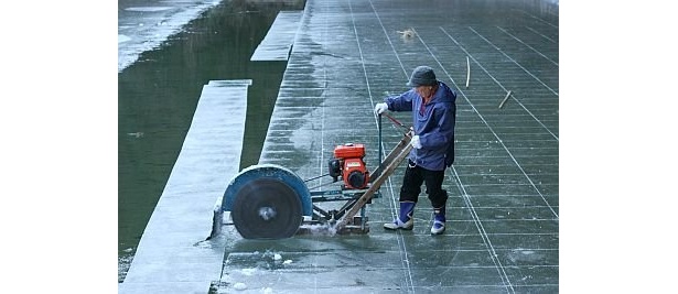 おいしい“天然氷”ができるまで 【1】池一面に張った氷を切り出す