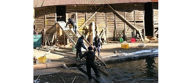 【2】鳶口を使い氷室に運び入れる