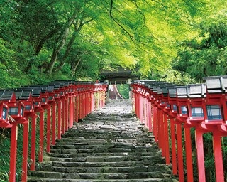 水と縁結びの神の古社！5分で知る貴船神社の見どころ