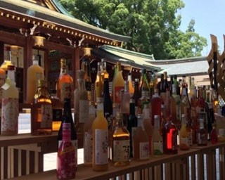 170種以上の梅酒が集結！全国梅酒まつり開催