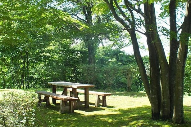 都会の喧騒を忘れ、ゆるやかな時間を過ごそう/石川県・セラピーウォーク