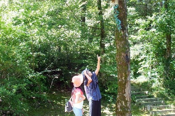 ウォーキングコースは見どころ満載。さまざまな発見が待っている！/石川県・セラピーウォーク
