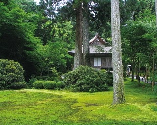 自然豊かな祈りの地！5分で知る三千院の見どころ  