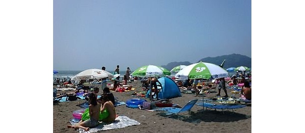 賑わう由比ガ浜海水浴場の様子