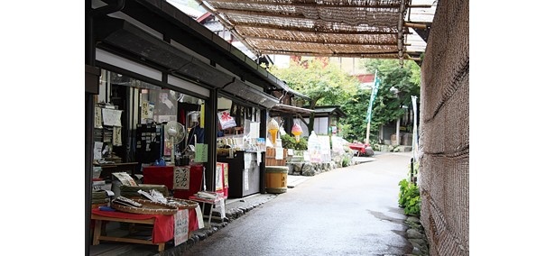 参道は呂川沿いに整備されている。途中には大原名物のシソ畑を望むことができる/三千院参道