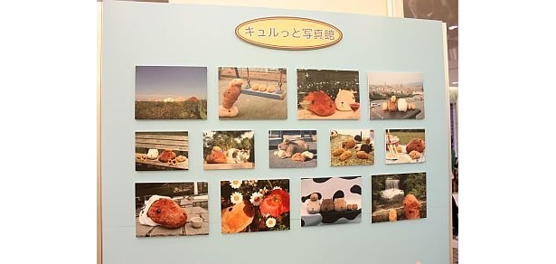 パネル展示