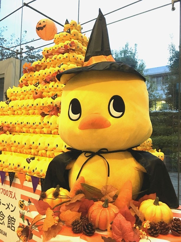 ハロウィン☆カボチャからひよこさん 素早い