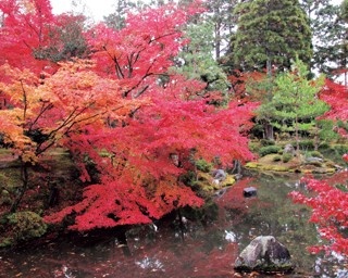 歴代足利将軍の菩提寺！5分で知る等持院の見どころ