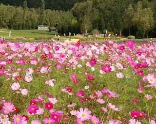 スポーツ体験で豪華景品！道産グルメも目じろ押し！