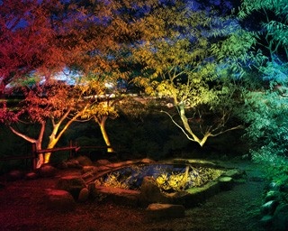 3日間限定「幻想庭園」が長崎の紅葉スポットに登場