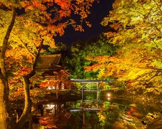 高台寺の紅葉ライトアップを楽しむベストコースはこれ！