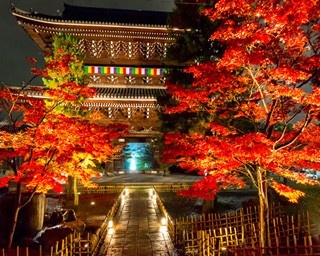 金戒光明寺の紅葉ライトアップを楽しむベストコースはこれ！