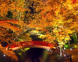 北野天満宮の紅葉ライトアップを楽しむベストコースはこれ！
