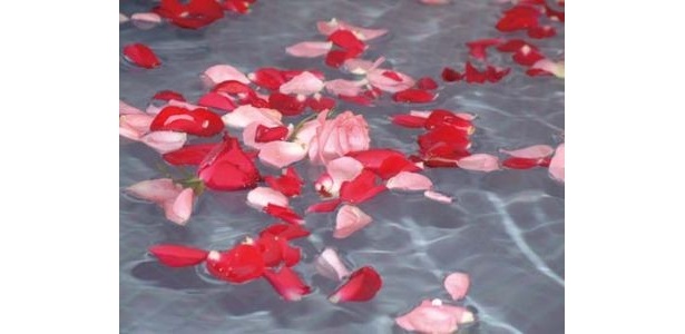 湯遊三昧 湯ゆ からく花楽の1番人気は、本物のバラの花びらをたっぷり浮かべたバラ湯などの「替わり湯」。季節ごとのお風呂が楽しい