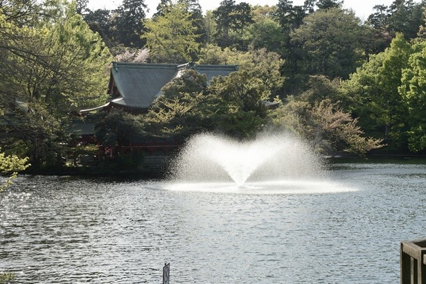 池の中の噴水。奥にあるのは「吉祥寺 井の頭公園 弁財天」(「井の頭恩賜公園」)