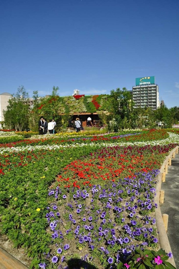 花畑の向こうに見える小屋は｢花咲く丸太小屋｣。屋根にまで色とりどりの花が咲いて、おとぎ話の世界のよう