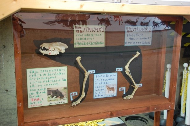 旭山動物園・「ほねほねパネル」1例(2016年9月撮影)